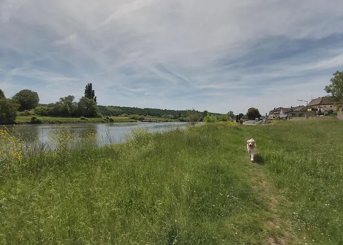 Main Urlaub An Der Mainschleife Obereisenheim